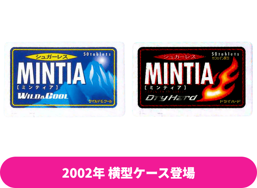 2002年 横型ケース登場